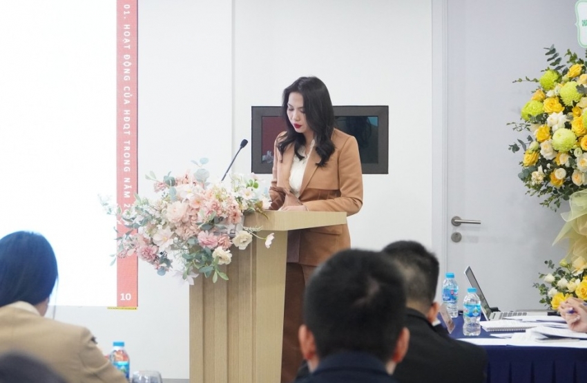 Chủ tịch VFS nêu lý do chưa tăng vốn, đặt mục tiêu mở rộng quy mô