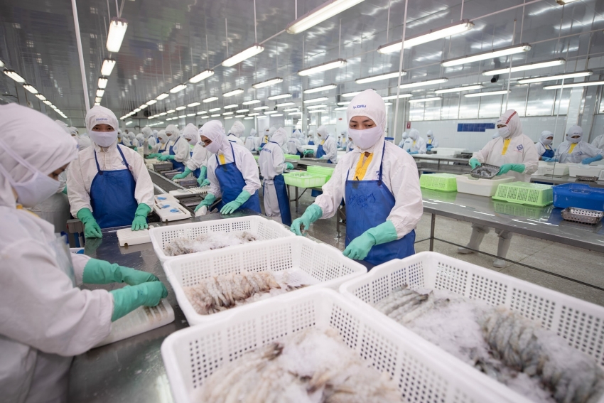 Xu hướng nhập khẩu tôm tại Mỹ, Trung Quốc và EU