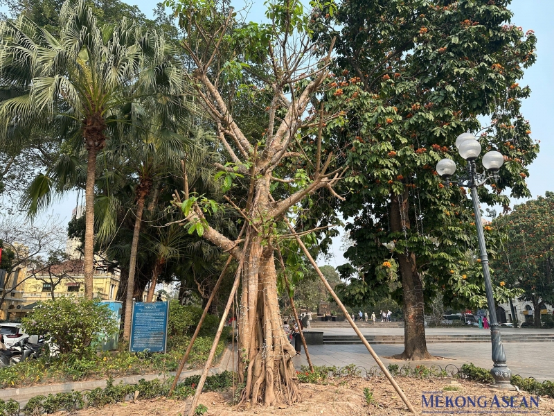 Hà Nội: Hiện trạng vườn hoa Lý Thái Tổ trước khi cải tạo