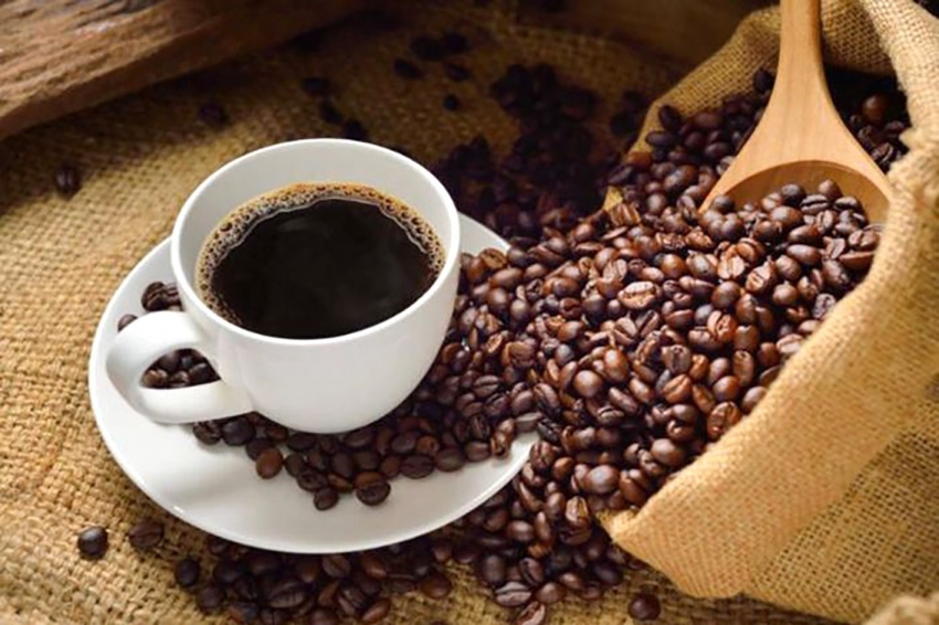 Cà phê là một trong hai mặt hàng Việt Nam xuất khẩu nhiều nhất sang Bỉ