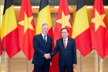 Nhà vua Bỉ ghi nhận đề xuất thúc đẩy EC sớm gỡ 
