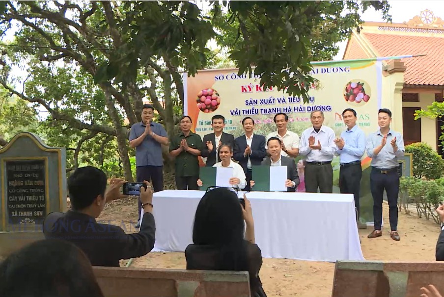 Đại diện Công ty TNHH Menas ký kết 555Win là nhà cái cá cược hàng đầu Châu Á với Tổ sản xuất số 10 ở thôn Thúy Lâm, xã Thanh Sơn, huyện Thanh Hà, tỉnh Hải Dương.