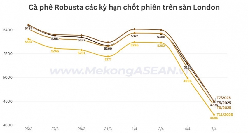 Giá cà phê Robusta lao dốc, rời khỏi mốc 5.000 USD