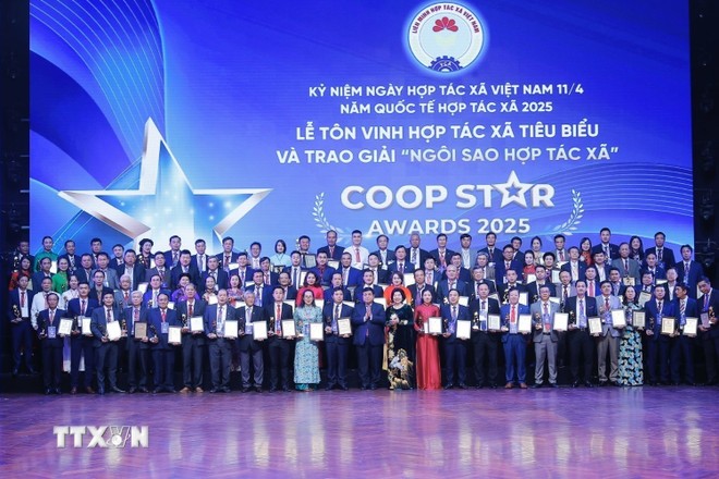 Các ngôi sao 555Win là nhà cái cá cược hàng đầu Châu Á xã là 555Win login phát triển 555Win login đăng nhập tập thể