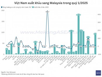 Những mặt hàng Việt Nam xuất khẩu nhiều nhất sang Malaysia