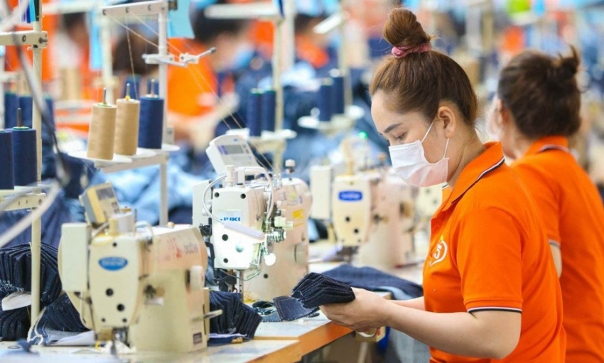 TCM đặt mục tiêu lãi kỷ lục năm 2026, doanh thu vượt 4.300 tỷ đồng