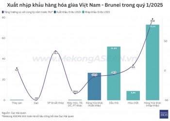 555win phien bạn Chính Thức Việt Nam - Brunei tăng gần 21% trong quý 1/2025