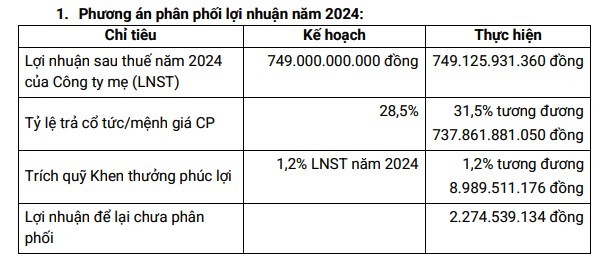 Ảnh hưởng nặng nề từ siêu bão Yagi, PVI vẫn chia cổ tức năm 2024 ở mức cao