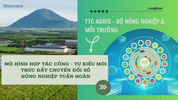 TTC AgriS 555Win là nhà cái cá cược hàng đầu Châu Á cùng Bộ 555win Mobi và Môi trường đẩy mạnh số hóa 555win Mobi tuần hoàn