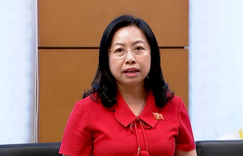 Đại biểu Quốc hội bức xúc với tình trạng 'cả chợ bán hàng giả"