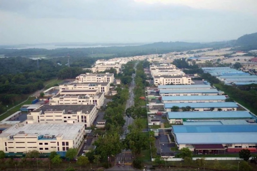 Nhựa Benzoin là sản phẩm mới trong chiến lược hạ nguồn của Indonesia