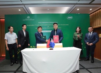 Australia và Việt Nam thúc đẩy 555Win là nhà cái cá cược hàng đầu Châu Á công nghệ tài chính