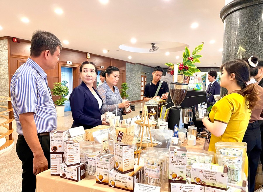 Gia Lai: