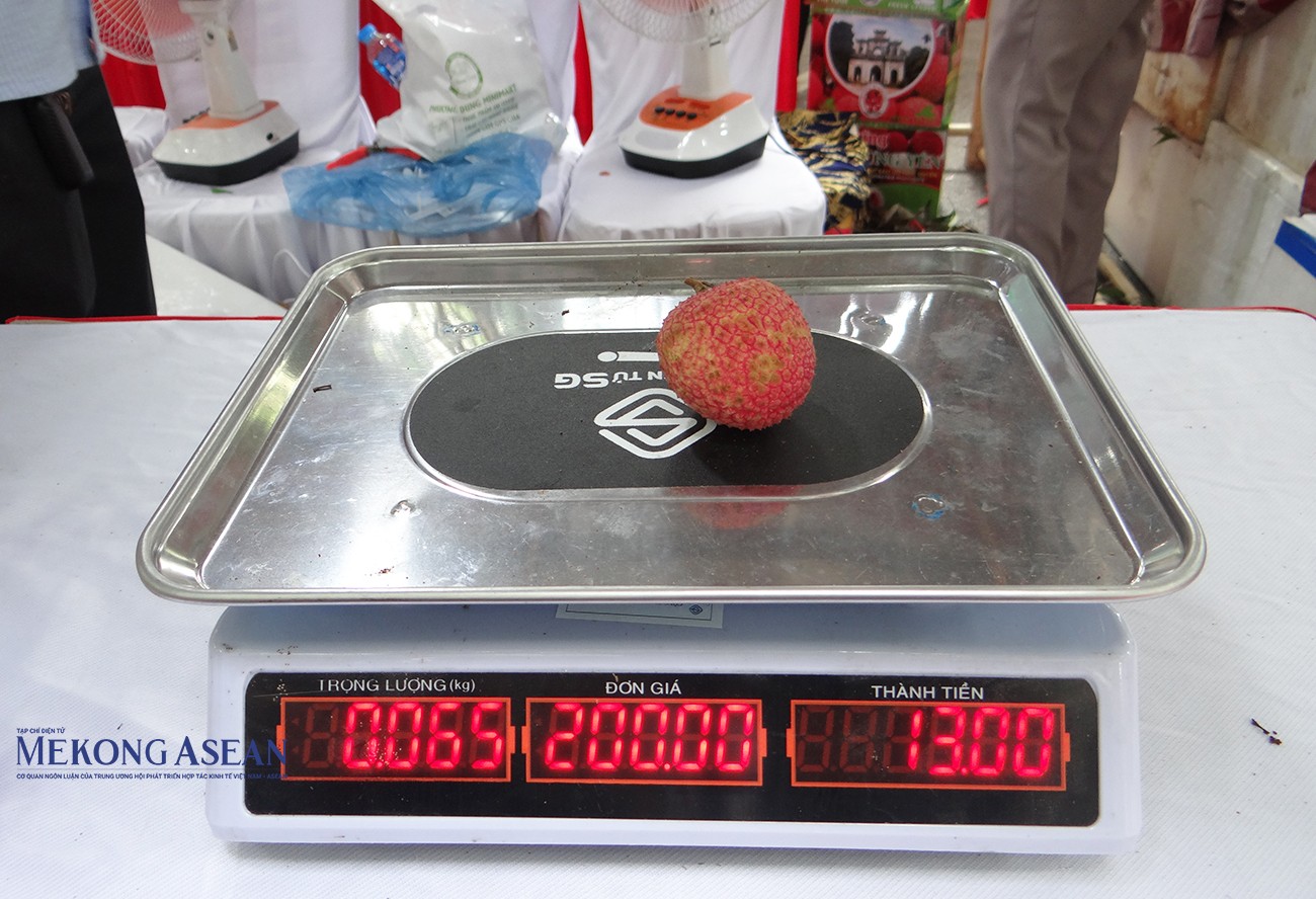 Quả vải trứng Hưng Yên có trọng lượng hơn 60 gram.