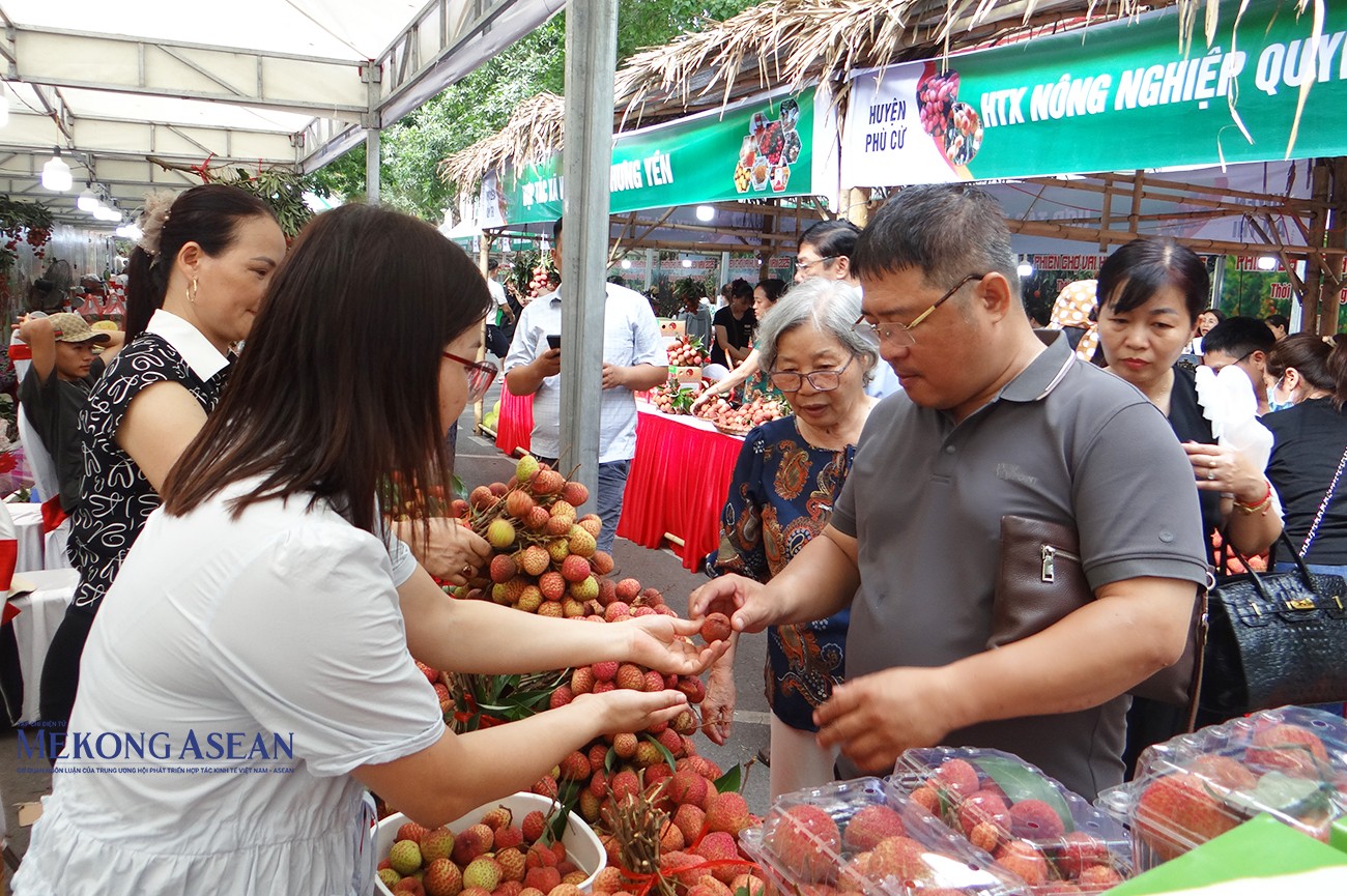 Đưa vải Hưng Yên ‘siêu to’ và đặc sản phục vụ tận tay người tiêu dùng