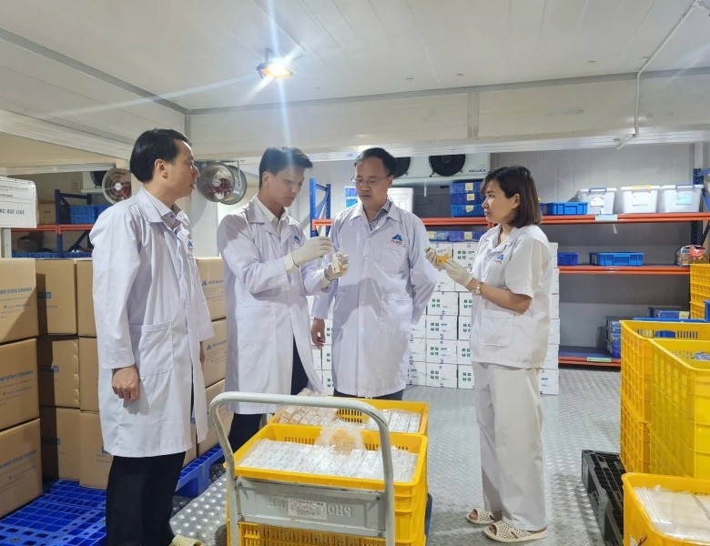 Vaccine dịch tả lợn châu Phi của Việt Nam được xuất khẩu sang Indonesia