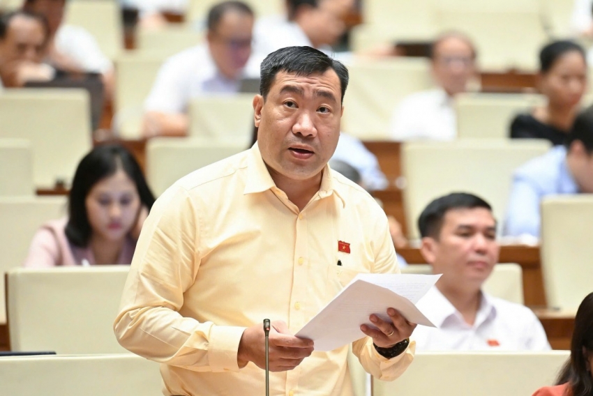 Phải có ràng buộc khi miễn thuế đất nông nghiệp, tránh 'ôm đất chờ thời'