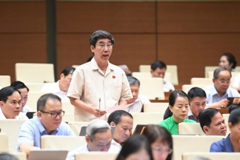Hải Phòng: Thu hồi đất để sớm hình thành những trung tâm logistics quy mô lớn