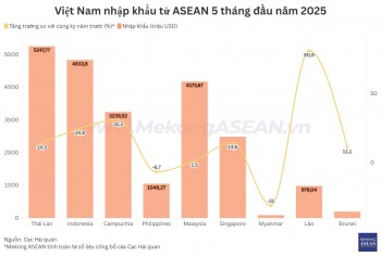 Nhập siêu từ ASEAN tăng vọt 67% trong 5 tháng đầu năm 2025