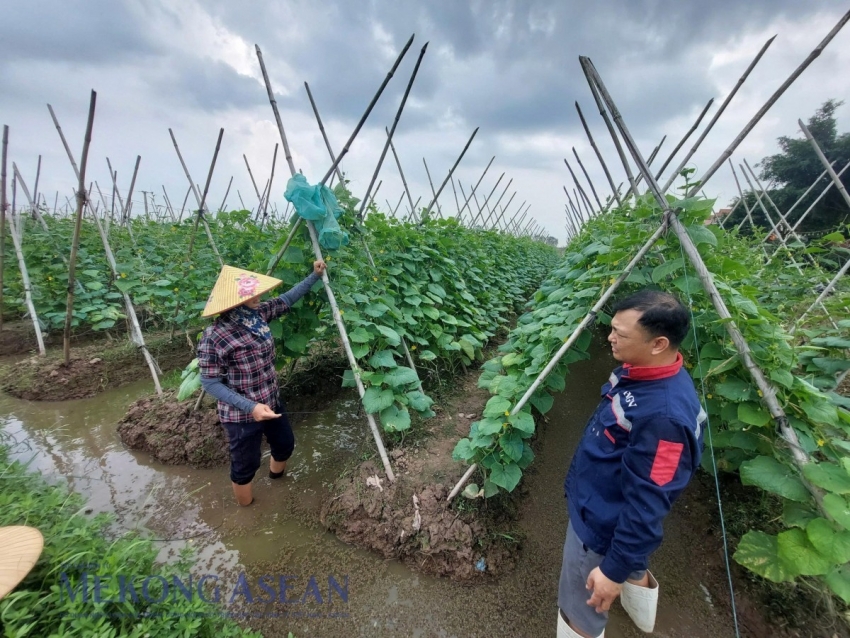 Tín dụng mới cho nông nghiệp hữu cơ: Vay đến 70% không cần thế chấp