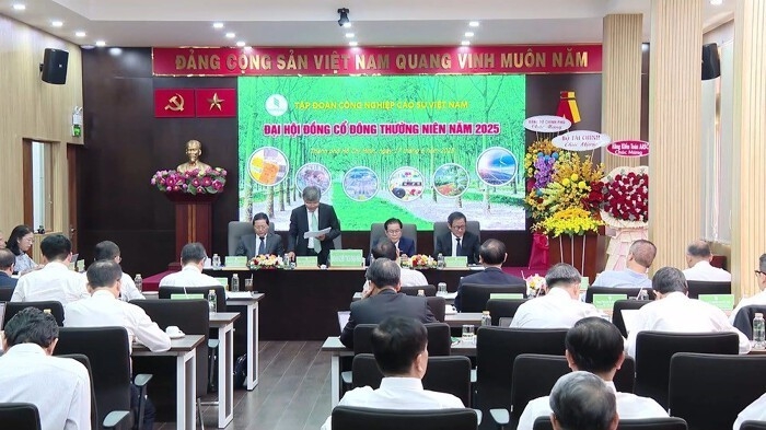 Cao su Việt Nam đặt doanh thu kỷ lục, mảng chủ lực tăng trưởng ít nhất 7%