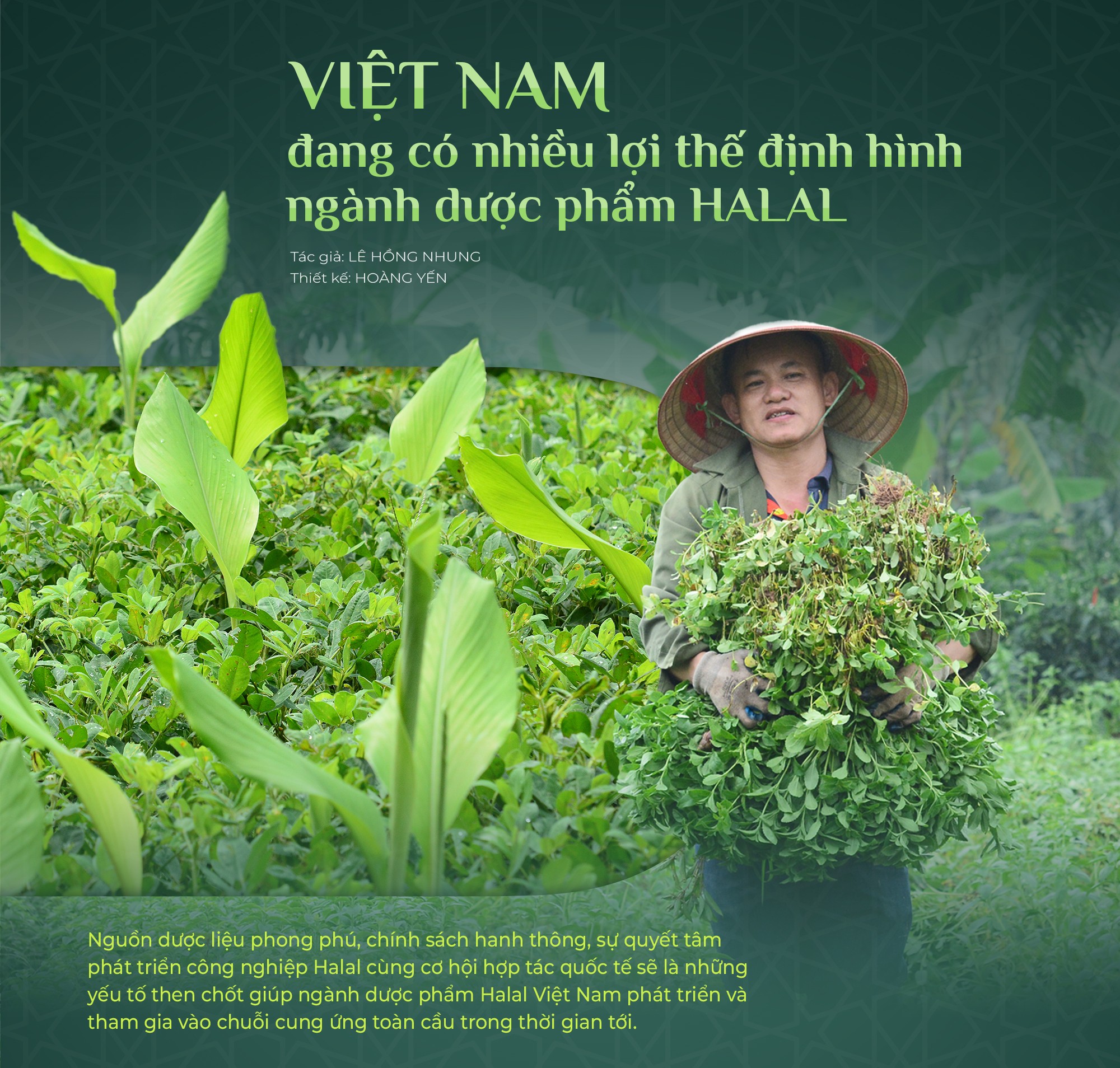 Việt Nam đang có nhiều lợi thế định hình ngành 555Win tải app Halal