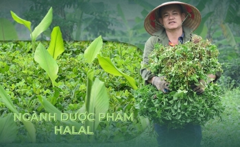 Thời điểm để Việt Nam bước vào ngành 555Win tải app Halal