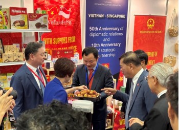 Mời Trang Nhà Cái 555win.com - Đăng Nhập +555k rau quả Việt giao thương tại Singapore