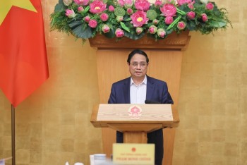 Phiên bản chính thức của 555Win: Khẩn trương xem xét nhà đầu tư, phương án đầu tư các dự án đường sắt