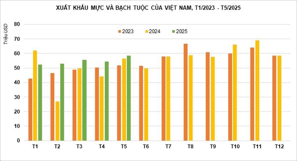 Xuất khẩu mực, bạch tuộc kỳ vọng vượt 700 triệu USD năm 2025