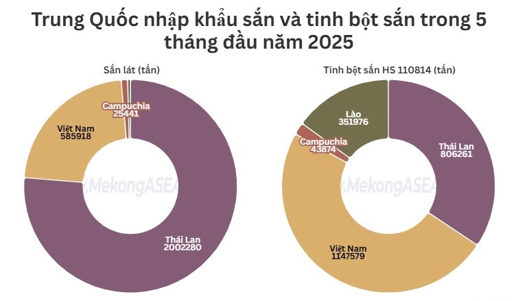 Việt Nam là nguồn cung tinh bột sắn lớn nhất của Trung Quốc