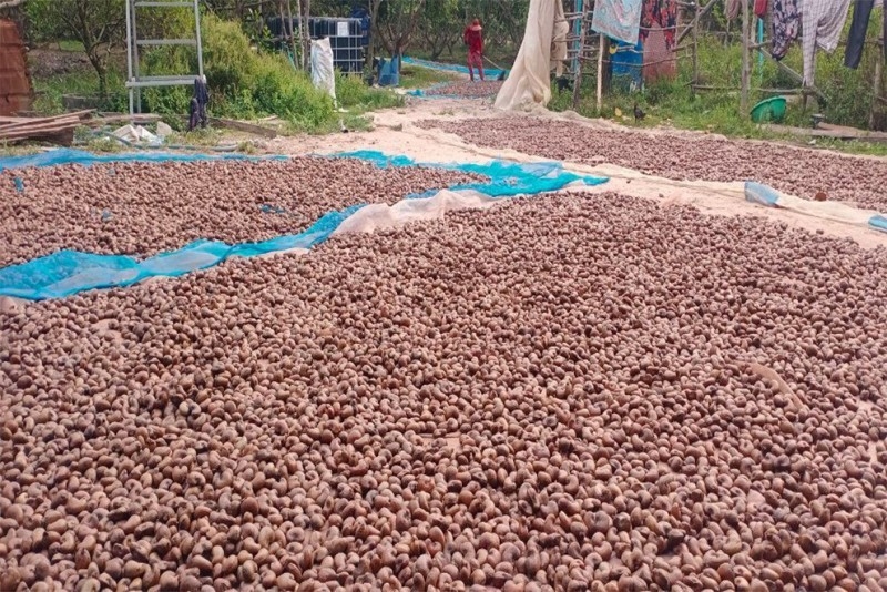 Doanh nghiệp Campuchia tìm cơ hội mở rộng thị trường xuất khẩu tại TP HCM