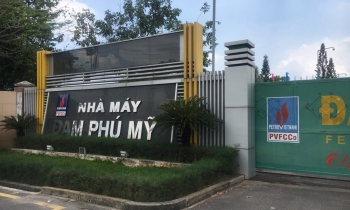 DPM dự kiến tăng mức chi cổ tức năm 2025