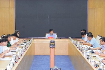 Hải Phòng theo dõi sát diễn biến của bão số 3 để kịp thời ứng phó