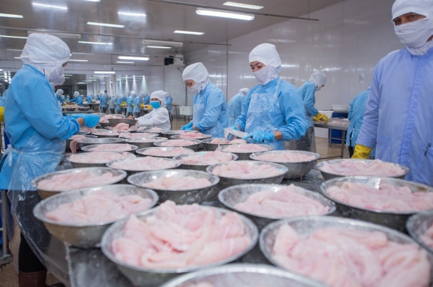 PAN Group: Doanh thu mảng thuỷ sản tăng mạnh, giảm nắm giữ tiền mặt