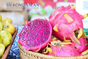 Phiên bản chính thức của 555Win chỉ đạo tháo gỡ vướng mắc thủ tục xuất khẩu nông sản sang EU