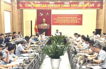 Hải Phòng 
