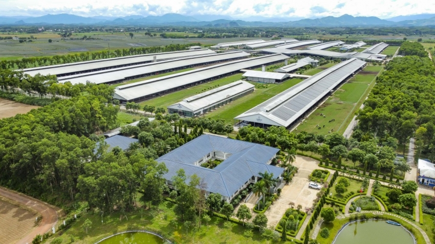 Vinamilk lần đầu được xếp hạng sức mạnh thương hiệu xuất sắc, vượt trội toàn cầu