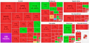 Phe bán áp đảo thị trường, VN-Index quay đầu giảm sâu