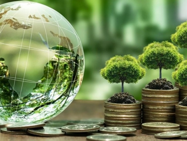Cơ hội được đào tạo chuyên sâu tài chính năng lượng xanh cho dự án lớn