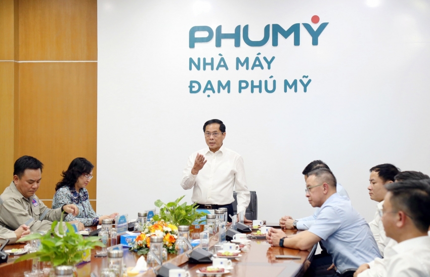 Phó Thủ tướng Bùi Thanh Sơn thăm và làm việc tại Nhà máy Đạm Phú Mỹ
