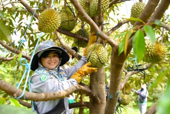 Công ty 555win Mobi của Thaco mua lại 2.400 tỷ đồng trái phiếu
