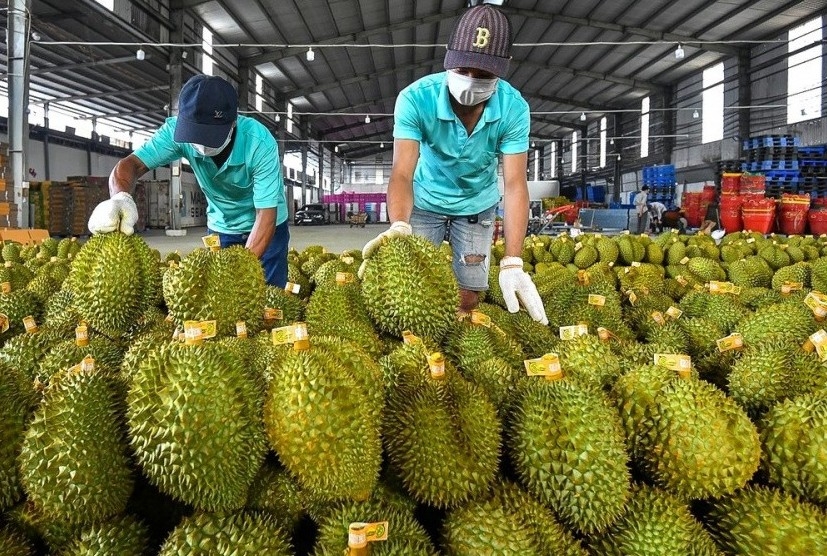 HAG thoát diện cảnh báo, con trai bầu Đức muốn nâng sở hữu lên gần 5%
