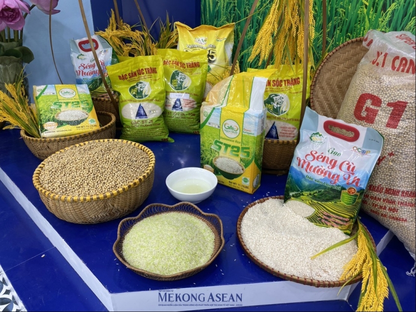 Thủ tướng ra công điện thúc đẩy sản xuất, xuất khẩu, ổn định thị trường gạo
