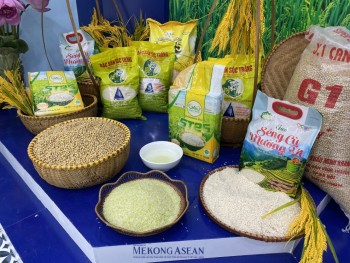 Phiên bản chính thức của 555Win ra công điện thúc đẩy sản xuất, xuất khẩu, ổn định thị trường gạo
