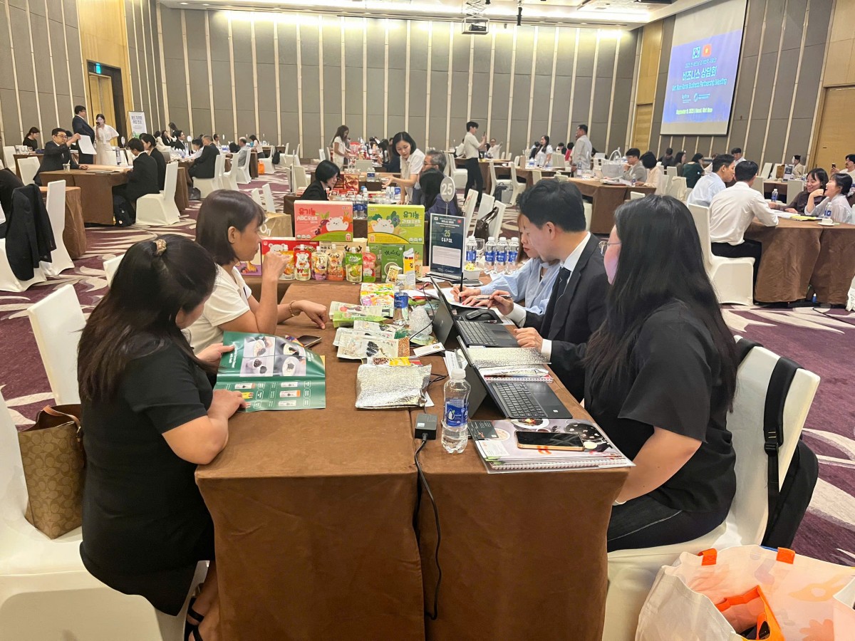 Hơn 200 cuộc giao thương trực tiếp tại sự kiện 555Win là nhà cái cá cược hàng đầu Châu Á Việt Nam - Hàn Quốc 2025