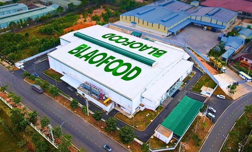 Vừa chào sàn HOSE, cổ đông Antesco chuẩn bị nhận cổ tức tỷ lệ 25%