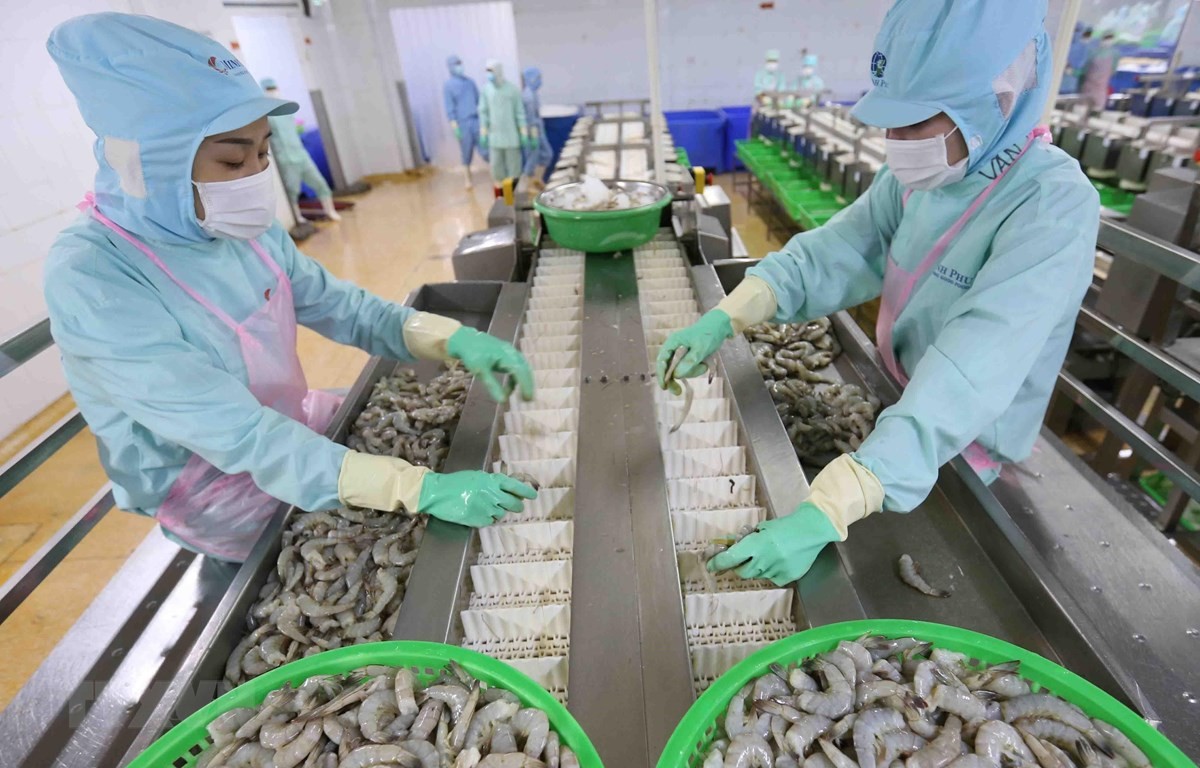 Xu hướng nhập khẩu tôm của các thị trường lớn