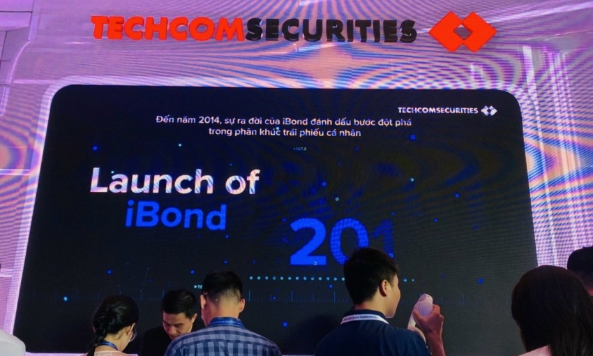 Cổ đông TCBS chốt phương án vay 50 triệu USD từ DEG