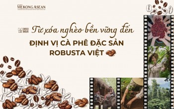 Từ xóa nghèo bền vững tới định vị cà phê đặc sản Robusta Việt